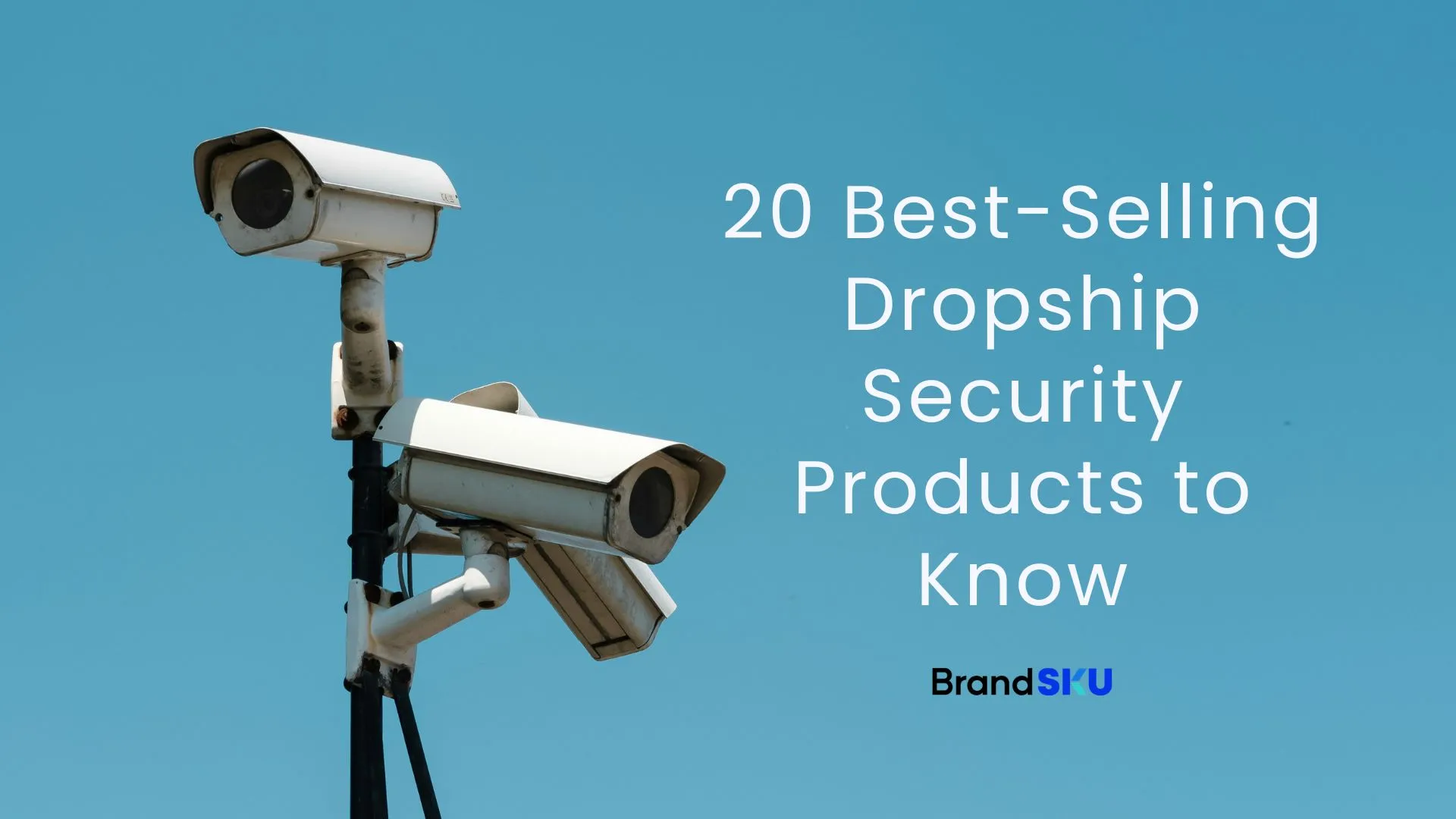 20 Best-Selling Dropship Security Products for 2026